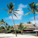 Constance Le Prince Maurice Palms
