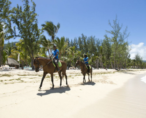 Hotel Riu Creole Horseriding