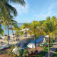 Royal Palm